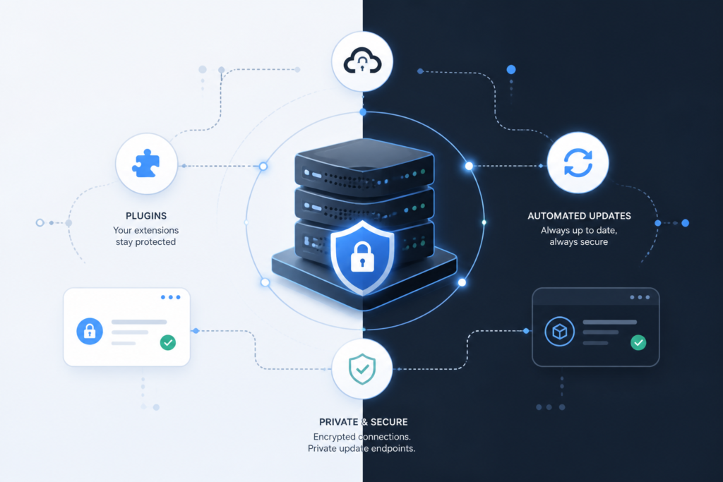 Illustration of secure server nodes connected with digital links representing private, automated WordPress plugin updates.